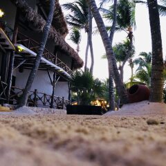 Отель Beachfront Hotel La Palapa - Adults Only Мексика, Остров Ольбокс - отзывы, цены и фото номеров - забронировать отель Beachfront Hotel La Palapa - Adults Only онлайн помещение для мероприятий