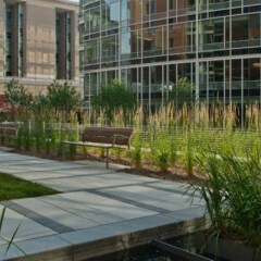 Отель Bluebird Suites on Washington Circle США, Вашингтон - отзывы, цены и фото номеров - забронировать отель Bluebird Suites on Washington Circle онлайн фото 2