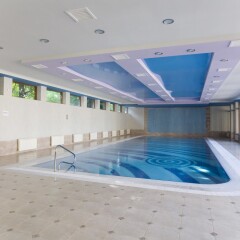 Russia Hotel (Цахкадзор) бассейн