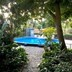 Hotel Mango с домашними животными