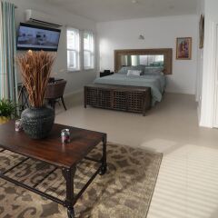 Апартаменты Kingsway New Kingston Guest Apartment II комната для гостей фото 5