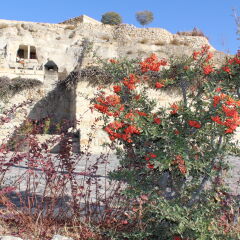 Мини-отель The Cappadocia Ургуп фото 8