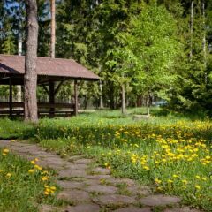 Гостиничный комплекс Country Resort фото 6