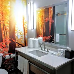 Отель Hilton Garden Inn Minneapolis Airport Mall Of America Блумингтон ванная