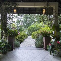 Отель BICH DAO Boutique - Dalat Вьетнам, Далат - отзывы, цены и фото номеров - забронировать отель BICH DAO Boutique - Dalat онлайн