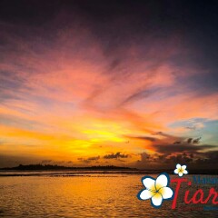 Отель Maison Tiare' Maldives Thulusdhoo Остров Гасфинолу пляж фото 2