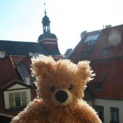 Teddy Bear Hostel Riga фото 2