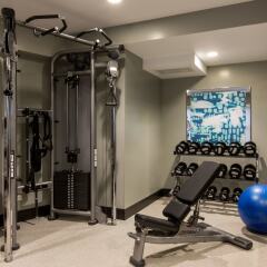 The Tremont Chicago Hotel at Magnificent Mile фитнесс-зал