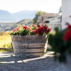Отель Weingut Donà Аппиано-сулла-Страда-дель-Вино фото 6
