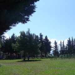 Отель Tenuta Villa Brazzano Скалея фото 2