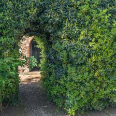Отель Fattoria di Mandri Реггелло фото 4