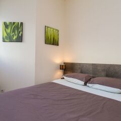 Отель The Sunny Patio 1-BR -Terrace Beach Франция, Ницца - отзывы, цены и фото номеров - забронировать отель The Sunny Patio 1-BR -Terrace Beach онлайн комната для гостей фото 2