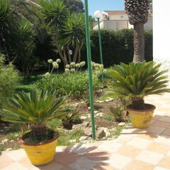Отель Arenella Beach Rooms Аренелла детские мероприятия