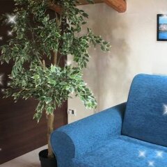 Отель B&B Suite Виагранде с домашними животными