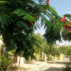 Darna Village Beach Hostel фото 10