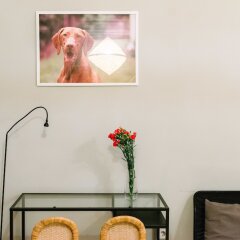 Апартаменты Dfive Apartments - Vizsla удобства в номере