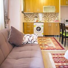 Апартаменты Feyza Apartments в номере фото 2