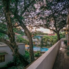 Отель Acacia Tree Garden Hotel Филиппины, Пуэрто-Принцеса - отзывы, цены и фото номеров - забронировать отель Acacia Tree Garden Hotel онлайн балкон