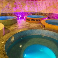 Galina Hotel & Spa Нячанг с домашними животными
