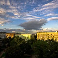 Отель Cilantro Bed & Breakfast Вроцлав пляж