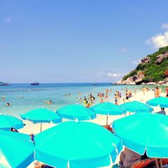 Отель Nangyuan Island Dive Resort Таиланд, о. Нангьян - отзывы, цены и фото номеров - забронировать отель Nangyuan Island Dive Resort онлайн бассейн фото 3