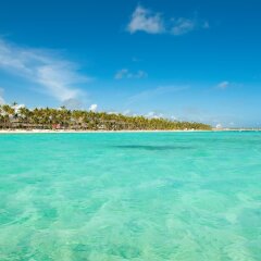 Отель Barcelo Bavaro Beach - Только для взрослых - Все включено Доминикана, Пунта Кана - 9 отзывов об отеле, цены и фото номеров - забронировать отель Barcelo Bavaro Beach - Только для взрослых - Все включено онлайн фото 10