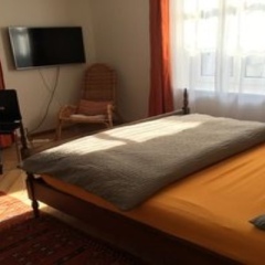 Отель Dakini's Bed & Breakfast Цюрих комната для гостей фото 3