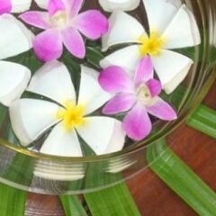 La Dolce Vita Holiday Villas in Fawn Harbour, Fiji from 240$, photos, reviews - zenhotels.com photo 3