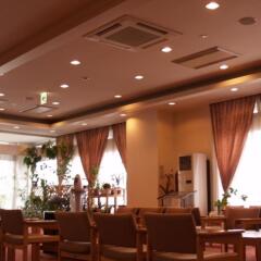 Rishiri Fuji Kanko Hotel Rebun интерьер отеля фото 3