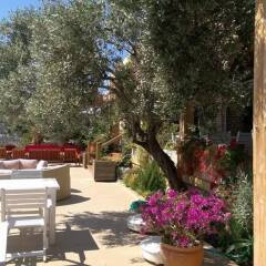 Mediteran Hotel Турция, Калкан - отзывы, цены и фото номеров - забронировать отель Mediteran Hotel онлайн фото 7