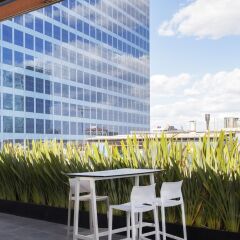 Отель Isaaya Hotel Boutique by WTC Мексика, Мехико - отзывы, цены и фото номеров - забронировать отель Isaaya Hotel Boutique by WTC онлайн фото 4