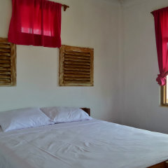 Friendly House Bali - Hostel in Ubud, Indonesia from 44$, photos, reviews - zenhotels.com guestroom photo 3