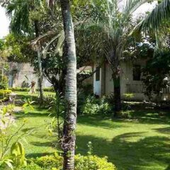 Отель Lapu Lapu Cottages and Restaurant Филиппины, Лапу-Лапу - отзывы, цены и фото номеров - забронировать отель Lapu Lapu Cottages and Restaurant онлайн фото 7