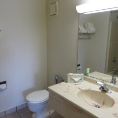Отель Days Inn Elk Grove Village Chicago OHare Airport West ванная