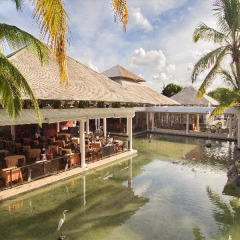 Отель Catalonia Punta Cana - All Inclusive Доминикана, Пунта Кана - 12 отзывов об отеле, цены и фото номеров - забронировать отель Catalonia Punta Cana - All Inclusive онлайн бассейн