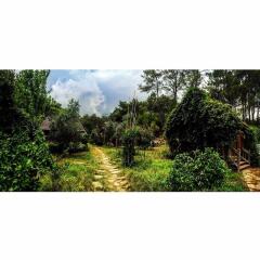 Отель Olympos Village фото 8