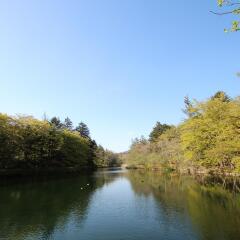 APA Hotel Karuizawa-Ekimae Karuizawaso фото 2
