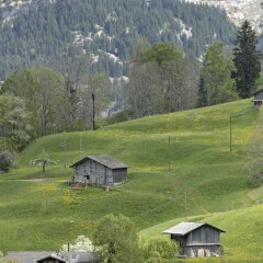 Отель Aspen Alpine Lifestyle Hotel Швейцария, Гриндельвальд - отзывы, цены и фото номеров - забронировать отель Aspen Alpine Lifestyle Hotel онлайн фото 6
