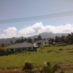 Отель Island Accommodation Nadi Фиджи, Вити-Леву - отзывы, цены и фото номеров - забронировать отель Island Accommodation Nadi онлайн фото 3