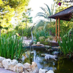 Hotel Restaurante La Plantación фото 8