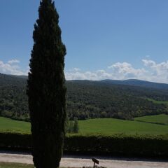 Отель Castel Bigozzi Строве фото 3