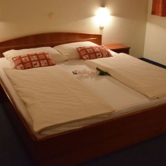 Hotel Bajt Maribor in Maribor, Slovenia from 151$, photos, reviews - zenhotels.com