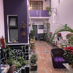Отель Olga Querida B&B Hostal Мексика, Гвадалахара - отзывы, цены и фото номеров - забронировать отель Olga Querida B&B Hostal онлайн фото 11