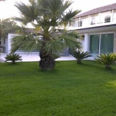 Отель Villa Belvedere Degli Ulivi Озимо фото 20