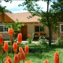 Отель Cabañas Montebello Inn Мексика, Креэль - отзывы, цены и фото номеров - забронировать отель Cabañas Montebello Inn онлайн