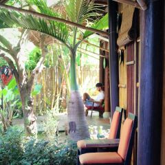 Отель Under the coconut tree балкон