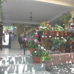 Гостиница Azanta Guest House