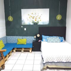 Отель Hostal Gato Azul Habitaciones Privadas Мексика, Гвадалахара - отзывы, цены и фото номеров - забронировать отель Hostal Gato Azul Habitaciones Privadas онлайн фото 11