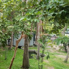 Отель Pattaya Garden Таиланд, Паттайя - - забронировать отель Pattaya Garden, цены и фото номеров фото 7