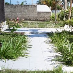 Отель Island Accommodation Nadi Фиджи, Вити-Леву - отзывы, цены и фото номеров - забронировать отель Island Accommodation Nadi онлайн фото 2